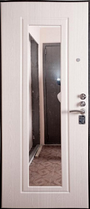 Железная дверь с декоративными вставками Д-002