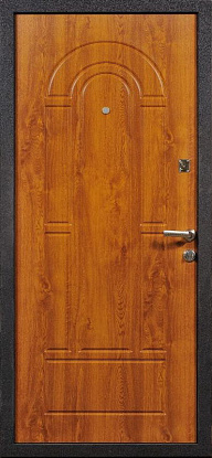 Железная дверь с отделкой панелями МДФ М-016